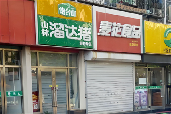山林溜达猪