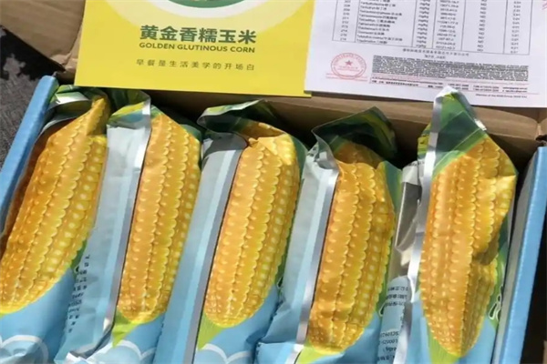 随心食季早安大苞米