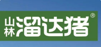 山林溜达猪