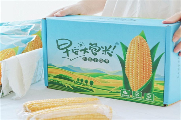 随心食季早安大苞米
