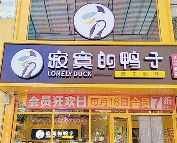寂寞的鸭子