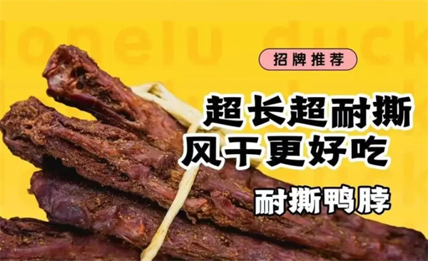 寂寞的鸭子