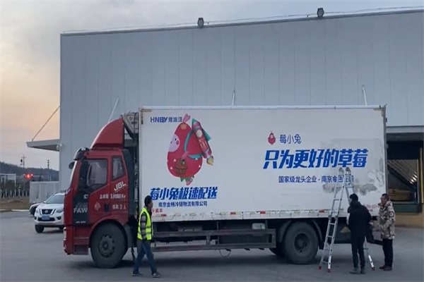 莓小兔
