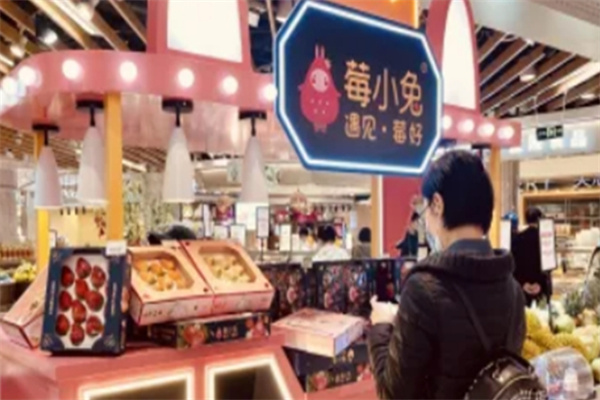 莓小兔