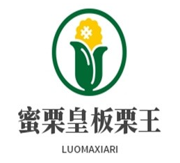 蜜栗皇板栗王