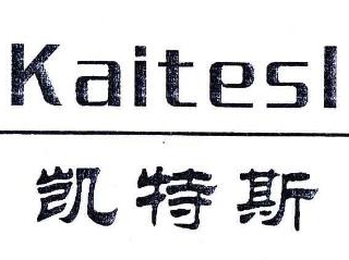 凯斯特进口食品