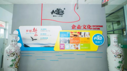 九道湾食品