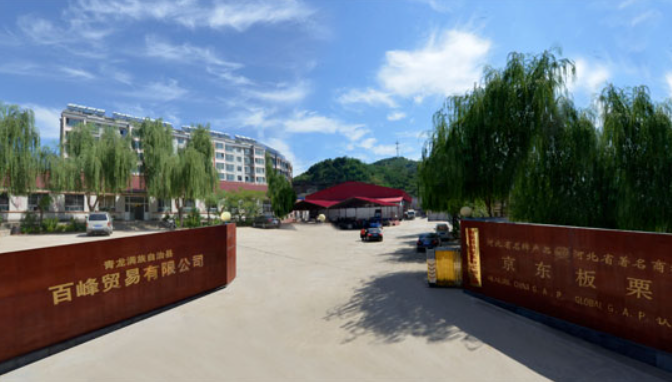 京东板栗