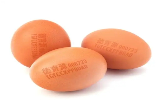德青源鸡蛋加盟多少钱?德青源鸡蛋加盟条件是什么？