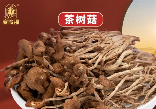 塞翁福干货