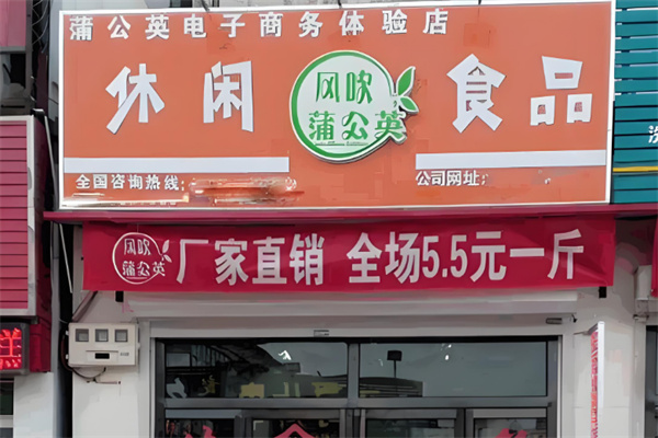 风吹蒲公英休闲食品
