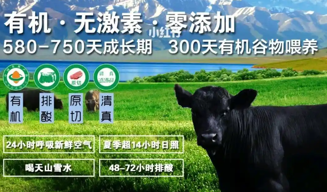 天莱香牛肉