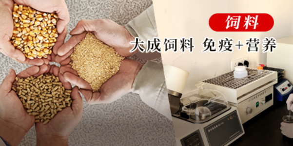 大成食品