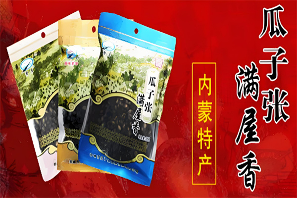 瓜子张食品
