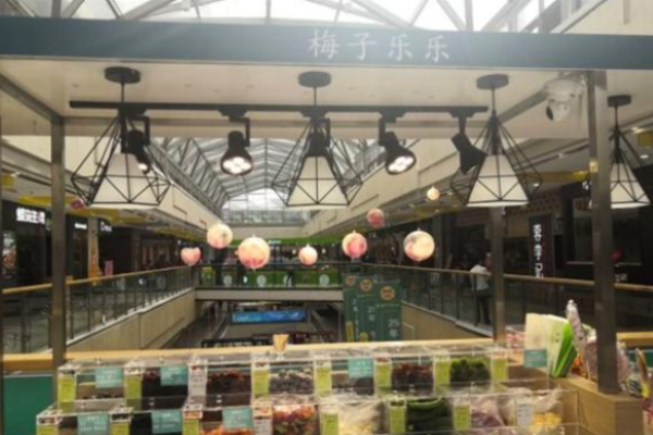 梅子乐乐零食