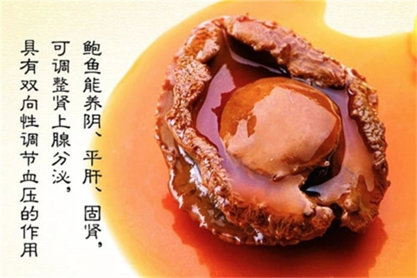 鲍鱼哥