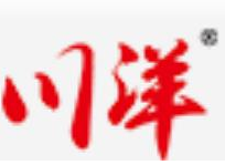川洋休闲食品