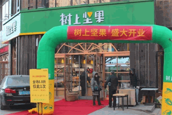 树上坚果加盟赚钱吗?合作有保障