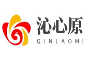 沁心原水果炒货店