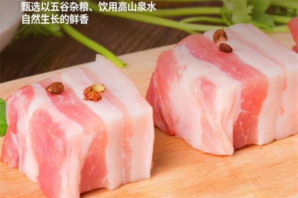 壮乡黑猪