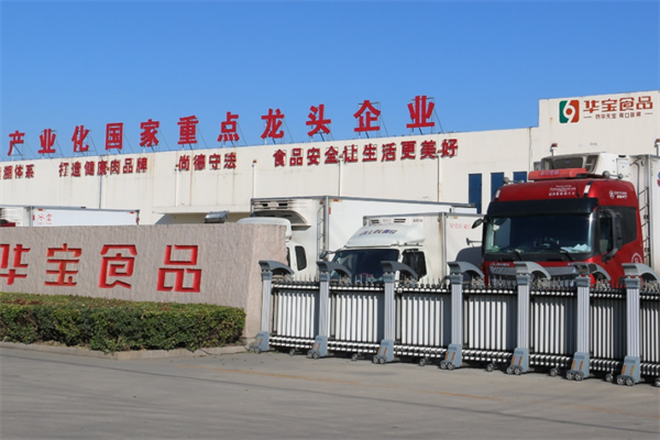 华宝食品