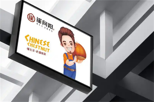 崔向阳板栗