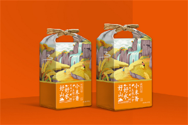 崔向阳板栗