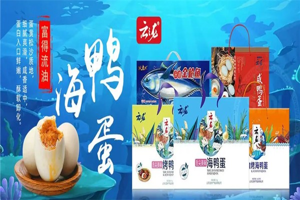 云龙食品