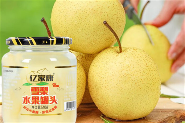 亿家康食品