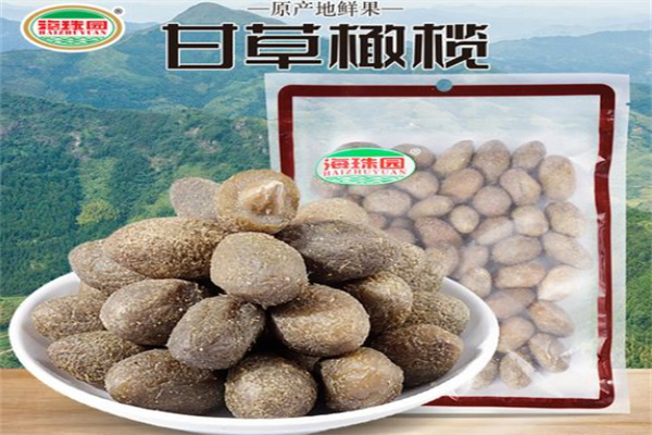 海珠园食品
