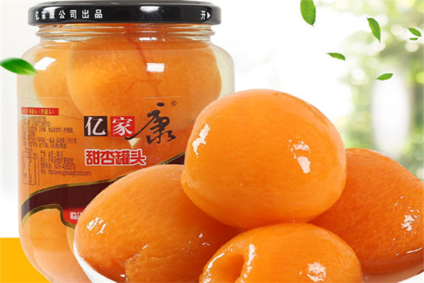 亿家康食品