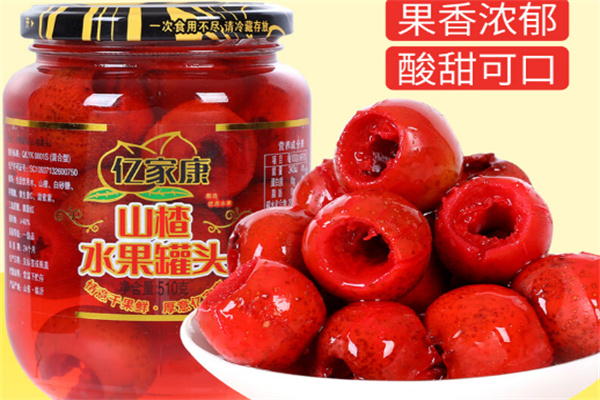 亿家康食品