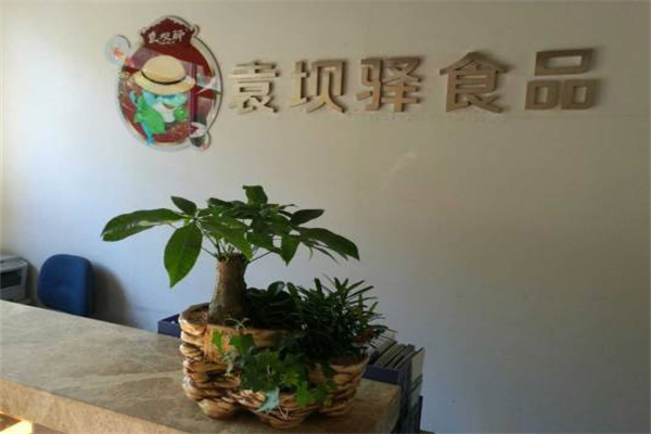 袁坝驿零食
