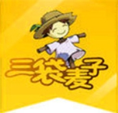 三袋麦子零食