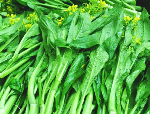润春绿色食品