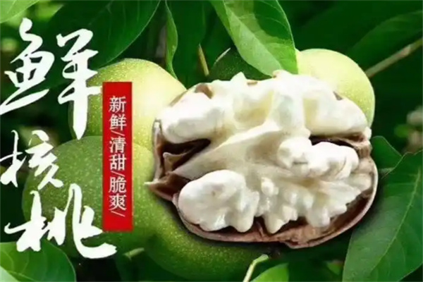 绿岭庄园