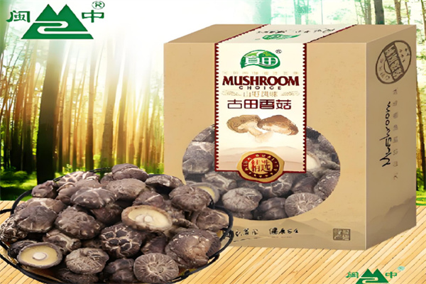 闽中食品