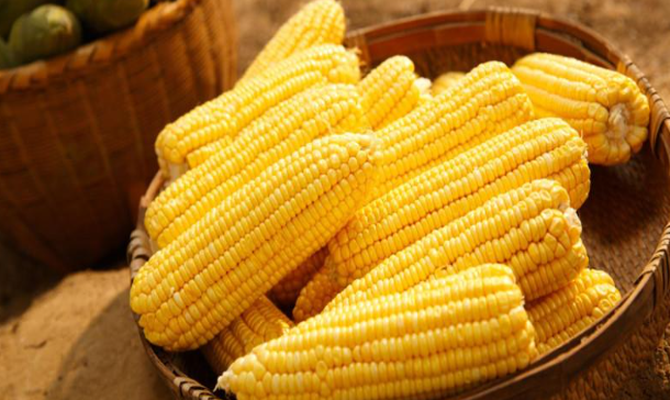 龙山食品