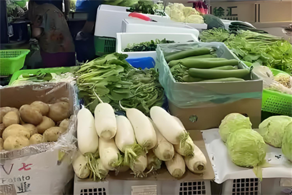 龙源食品