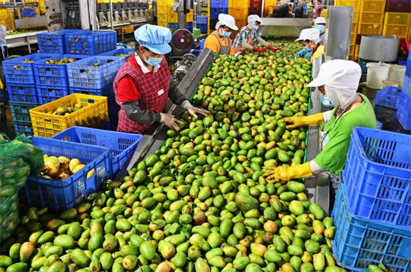 汇林食品