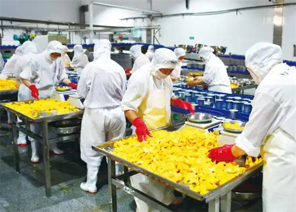 汇林食品
