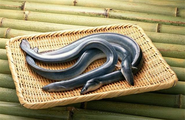 保利食品