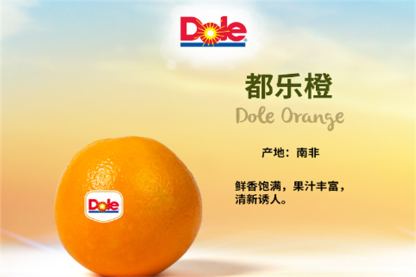 都乐休闲食品