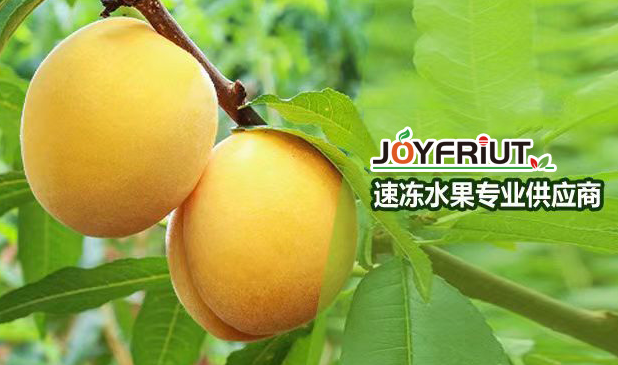 海通食品