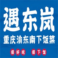 遇东岚