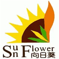 向日葵零食