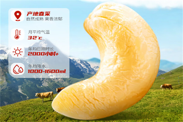 百富得