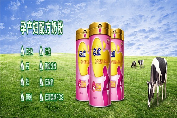 友谊乳制品