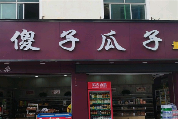 傻瓜瓜子