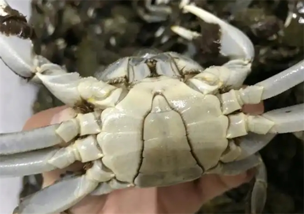 唐海休闲食品